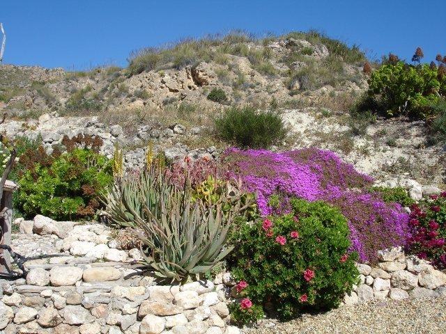 Almond Reef Casa Rural Los Alias 객실 사진